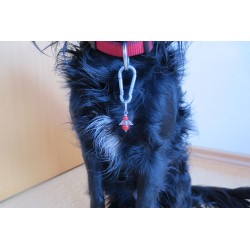 Engel Anhänger für Tiere mit roten Jade Perlen aus Edelstahl am Hundehalsband